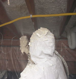 Novato CA crawl space insulation